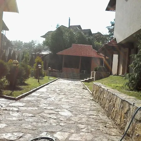 Joksimovic *