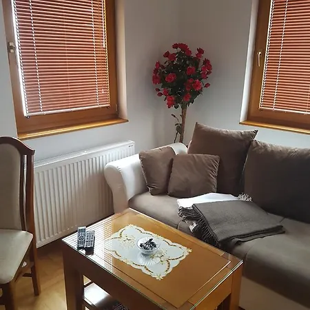 Апартаменты Joksimovic Златибор