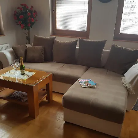 Apartment Joksimovic *